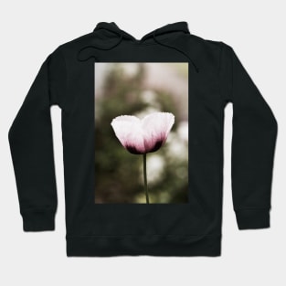 Pink Poppy Hoodie